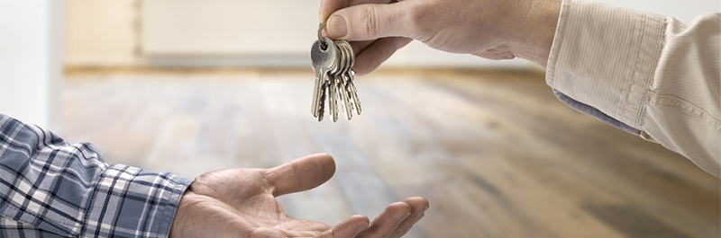 teaseguro_seguro_vivienda_alquiler_2