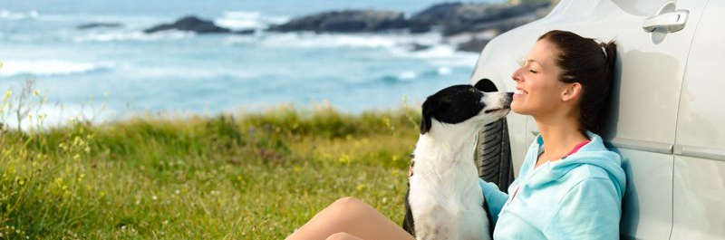 TeAseguro_Mascotas_y_Viajes_1